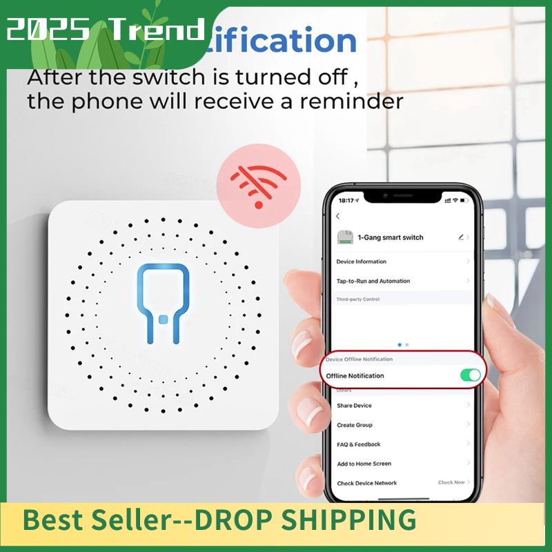 AD33 HOT Tuya Wifi RF433 Modul - Diy Home Automation Controller recensione e prezzo